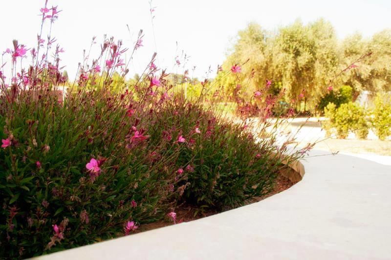 Agriturismo Fontanelle Otranto Exterior photo